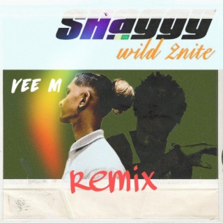 Shaggy (wild 2nide) (ragga version)