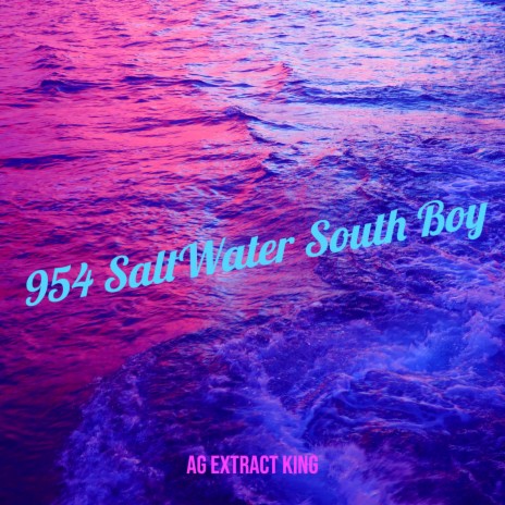 954 SaltWater South Boy | Boomplay Music