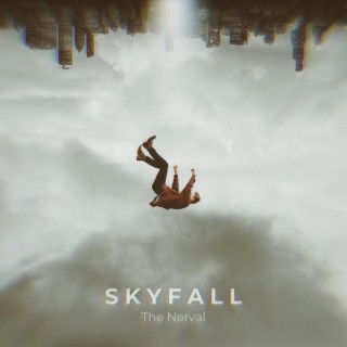 Skyfall lyrics | Boomplay Music