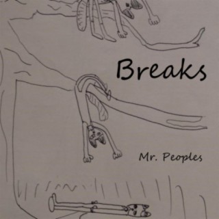 Breaks