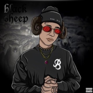 Blacksheep