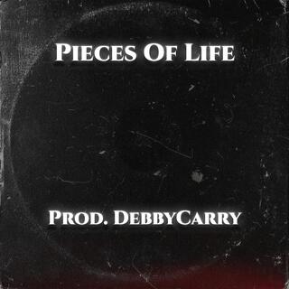 Pieces Of Life