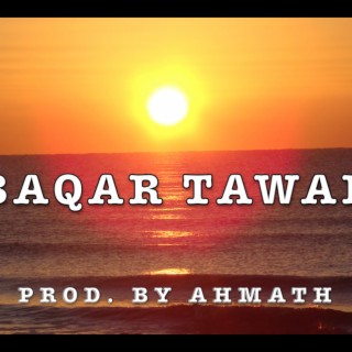 Baqar Tawab