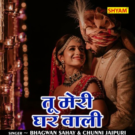 Tu Meri Ghar Wali (Hindi) ft. Chunni Jaipuri | Boomplay Music