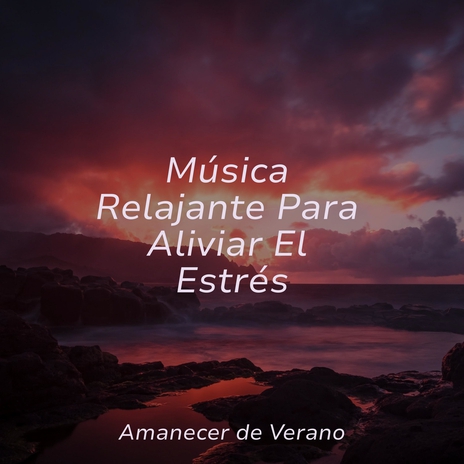 Vuelo de fantasía somnoliento ft. Relajación & Música Relaxante | Boomplay Music