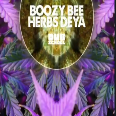 New Dancehall 2023 : Artist Boozy Bee (Herbs Dehyah) (Radio Edit) | Boomplay Music