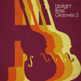 Upright Bass Grooves, Vol. 3