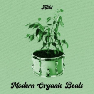 Modern Organic Beats