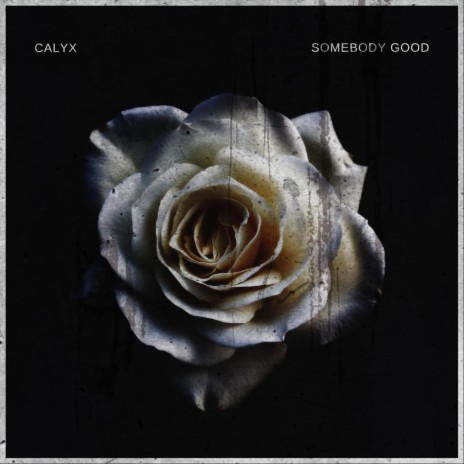 Somebody Good | Boomplay Music