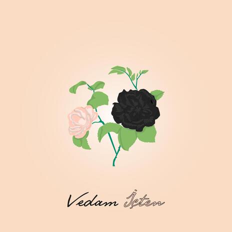 Vedam İçten | Boomplay Music