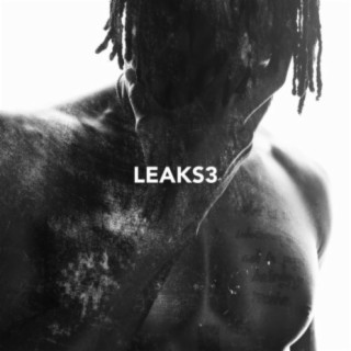 Leaks3