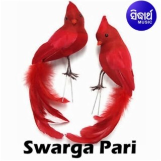 Swarga Pari