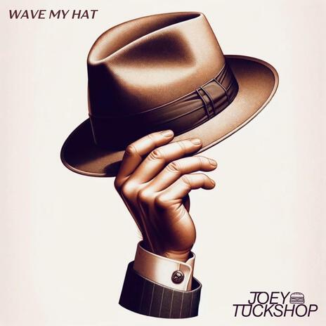 Wave My Hat | Boomplay Music