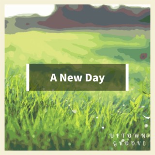 A New Day