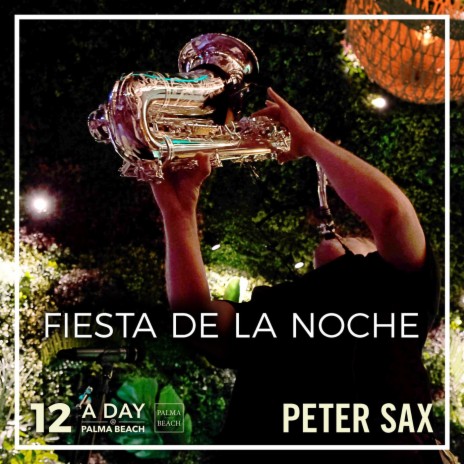 A Day @ Palma Beach 12 - Fiesta de la Noche (Radio Edit)