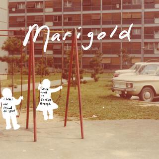 Marigold