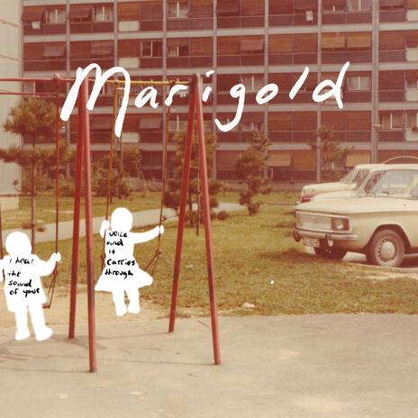 Marigold | Boomplay Music