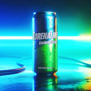 Adrenaline lyrics | Boomplay Music