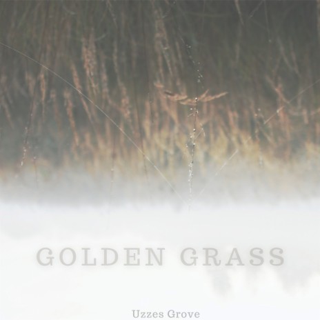 Golden Grass | Boomplay Music