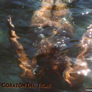 Corazón del Tigre lyrics | Boomplay Music