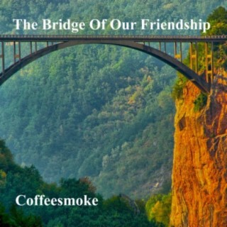 The Bridge Of Our Friendship