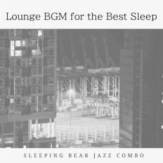 Lounge Bgm for the Best Sleep