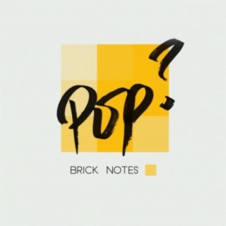 Brick Notes