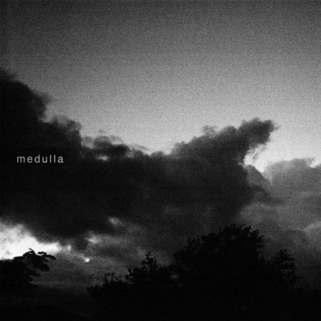 Medulla | Boomplay Music