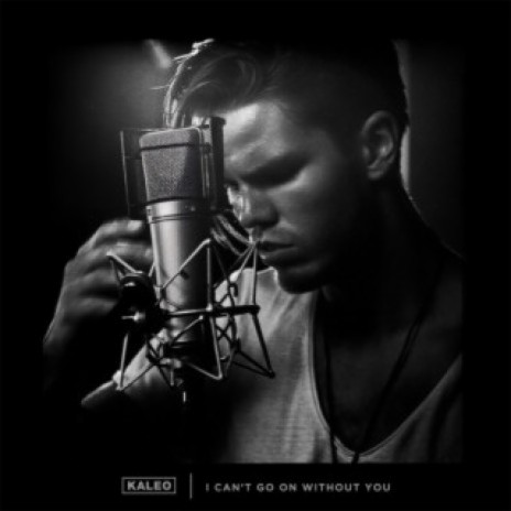 I Can't Go on Without You | Boomplay Music