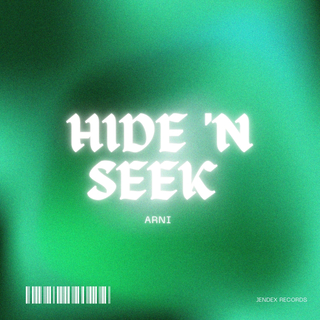 Hide 'N Seek