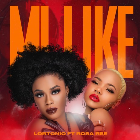 Mi Like (feat. Rosa Ree) | Boomplay Music