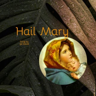 Hail Mary lyrics | Boomplay Music