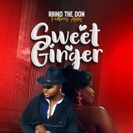 Sweet Ginger ft. Appy | Boomplay Music