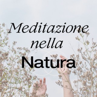 Meditazione nella Natura