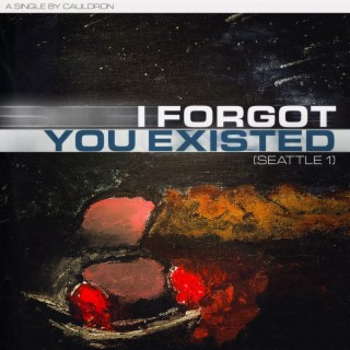 I Forgot You Existed (Seattle 1)