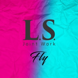 Fly