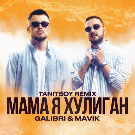 Мама я хулиган (Tanitsoy Remix)