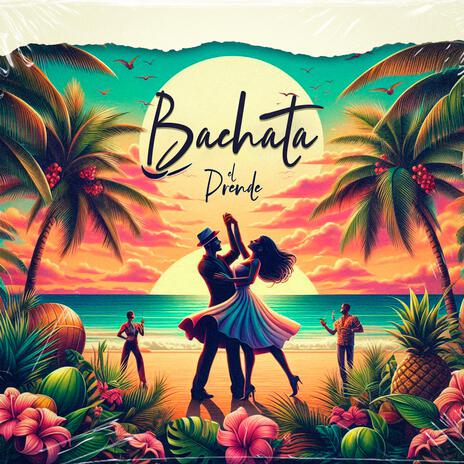 Bachata ft. Madam Company Union | Boomplay Music