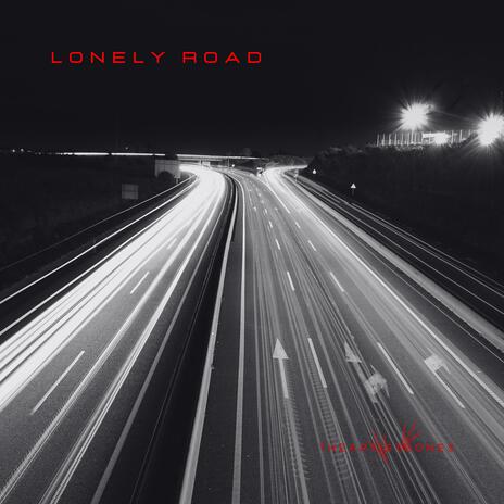 Lonely Road | Boomplay Music