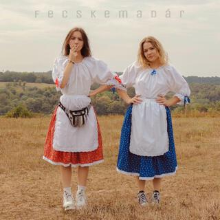 fecskemadár ft. Æisa lyrics | Boomplay Music