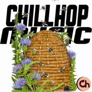 Root Chillhop Music