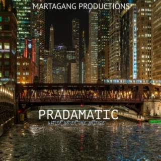 Pradamatic