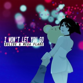 I Won't Let You Go