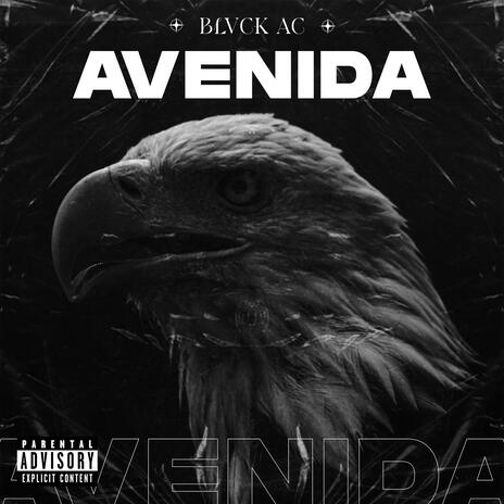 Avenida | Boomplay Music