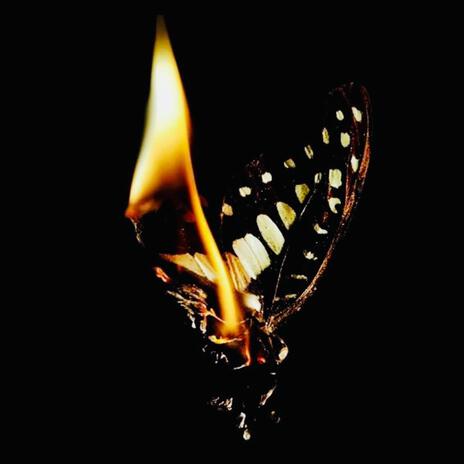 MOTH TO A FLAME | Boomplay Music