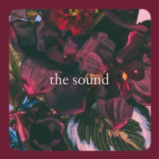 The Sound