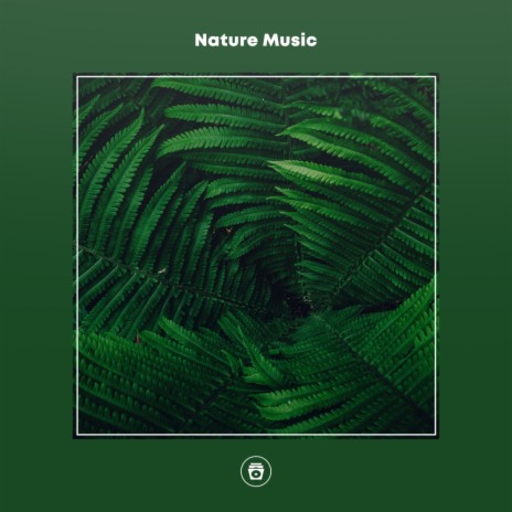 Nature Music Relaxation