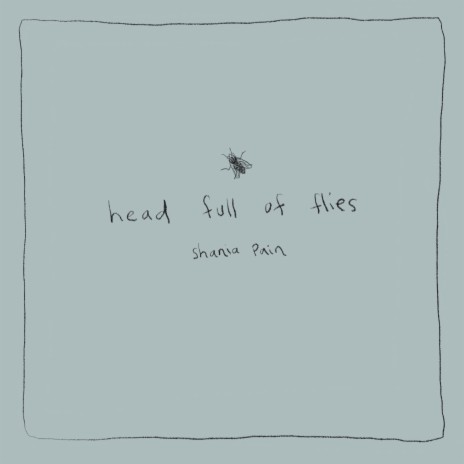 head full of flies | Boomplay Music