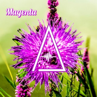 Magenta lyrics | Boomplay Music