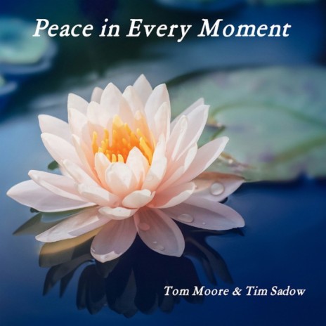 Peace in Every Moment ft. Tim Sadow